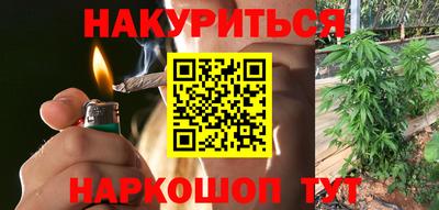 шишки Магадан
