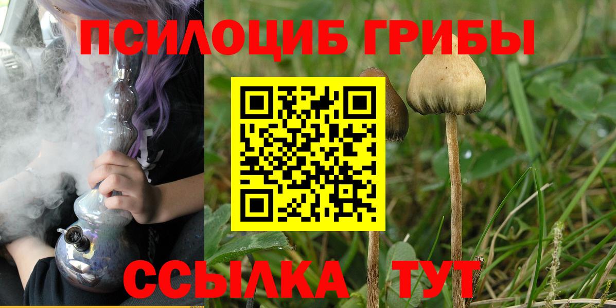 Галлюциногенные грибы Psilocybe  Вход с VPN  дарнет шоп  Краснознаменск 
